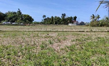 200 sqm Residential Lot for Sale Located in Patnongon, Antique