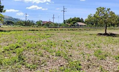 200 sqm Residential Lot for Sale Located in Patnongon, Antique