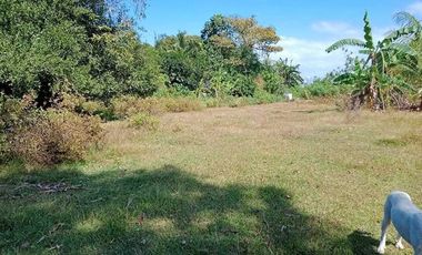 1,000 sqm Residential Lot for Sale Located in San Jose, Antique
