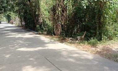 1,000 sqm Residential Lot for Sale Located in San Jose, Antique