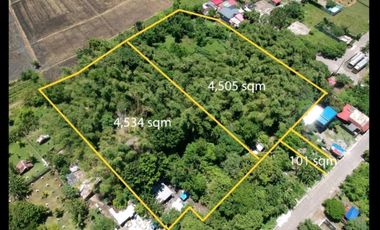 Rush for Sale Farm Lot in Cabuyao Laguna Good for Business