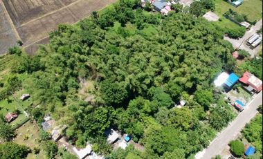 Rush for Sale Farm Lot in Cabuyao Laguna Good for Business
