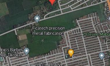 Rush for Sale Farm Lot in Cabuyao Laguna Good for Business