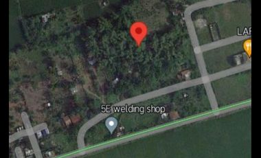 Rush for Sale Farm Lot in Cabuyao Laguna Good for Business