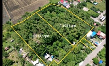 Rush for Sale Farm Lot in Cabuyao Laguna Good for Business