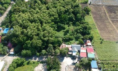 Rush for Sale Farm Lot in Cabuyao Laguna Good for Business