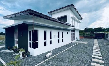 2 Properties In A 2700 Sqm Lot Size, Perfect For Resorts And Resto!