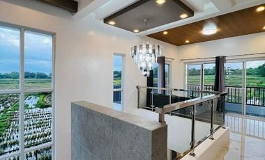 2 Properties In A 2700 Sqm Lot Size, Perfect For Resorts And Resto!