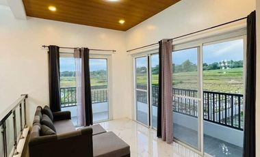 2 Properties In A 2700 Sqm Lot Size, Perfect For Resorts And Resto!