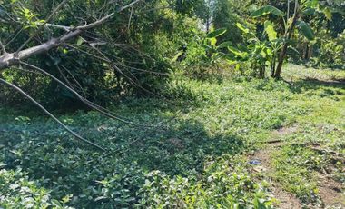 660sqm lot for sale in Lourdes Panglao Bohol 1,800 per sqm
