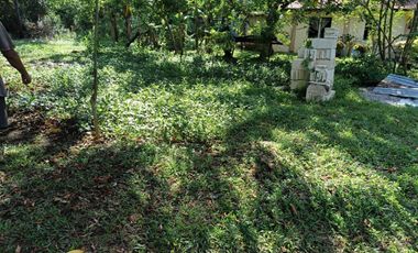 660sqm lot for sale in Lourdes Panglao Bohol 1,800 per sqm