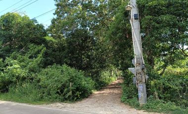 660sqm lot for sale in Lourdes Panglao Bohol 1,800 per sqm