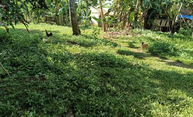 660sqm lot for sale in Lourdes Panglao Bohol 1,800 per sqm
