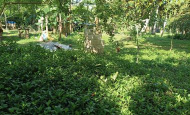 660sqm lot for sale in Lourdes Panglao Bohol 1,800 per sqm