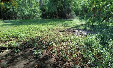 660sqm lot for sale in Lourdes Panglao Bohol 1,800 per sqm