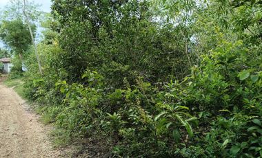900sqm clean title lot in Lourdes Panglao at 3500k per sqm 1.5km to the beach