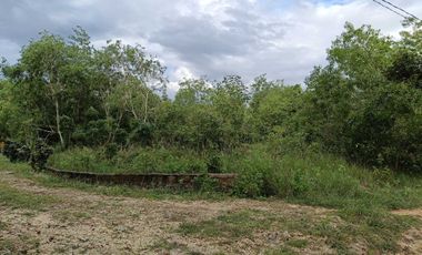 900sqm clean title lot in Lourdes Panglao at 3500k per sqm 1.5km to the beach