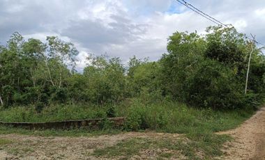 900sqm clean title lot in Lourdes Panglao at 3500k per sqm 1.5km to the beach
