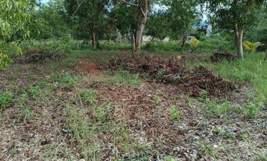 900sqm clean title lot in Lourdes Panglao at 3500k per sqm 1.5km to the beach