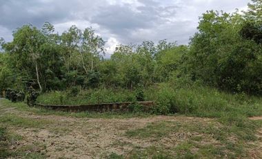 900sqm clean title lot in Lourdes Panglao at 3500k per sqm 1.5km to the beach