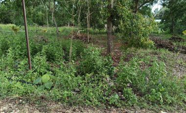 900sqm clean title lot in Lourdes Panglao at 3500k per sqm 1.5km to the beach