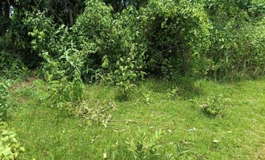 396sqm clean title lot in Tabalong Dauis Panglao Bohol at 3300
