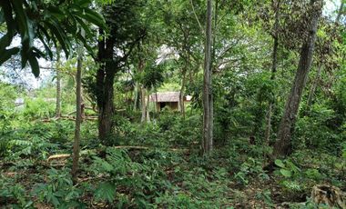 396sqm clean title lot in Tabalong Dauis Panglao Bohol at 3300