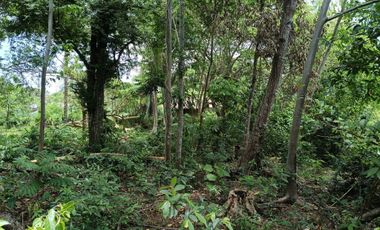 396sqm clean title lot in Tabalong Dauis Panglao Bohol at 3300