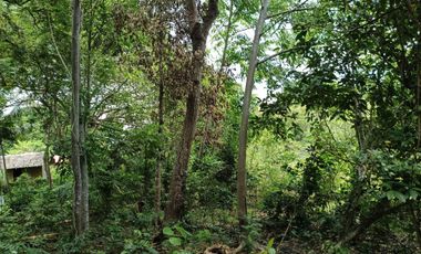 396sqm clean title lot in Tabalong Dauis Panglao Bohol at 3300