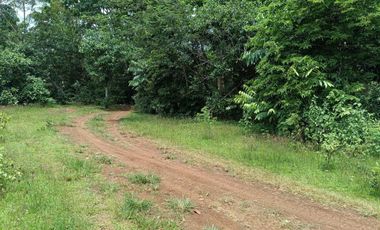 396sqm clean title lot in Tabalong Dauis Panglao Bohol at 3300