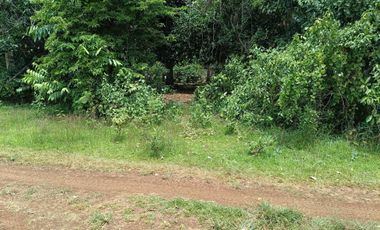 396sqm clean title lot in Tabalong Dauis Panglao Bohol at 3300