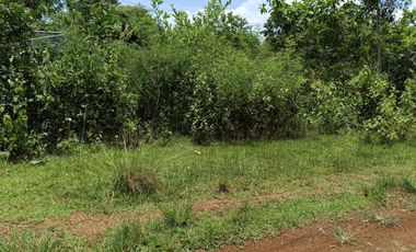 396sqm clean title lot in Tabalong Dauis Panglao Bohol at 3300