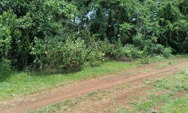 396sqm clean title lot in Tabalong Dauis Panglao Bohol at 3300