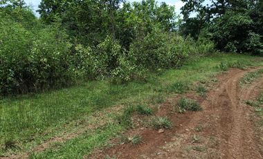 396sqm clean title lot in Tabalong Dauis Panglao Bohol at 3300