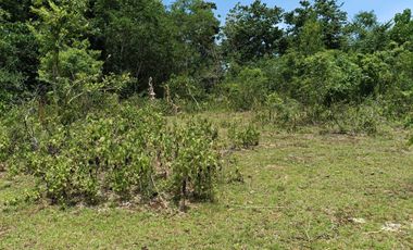 1,300sqm clean title lot in Lourdes Panglao Bohol at 3500 per sqm