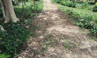 1,300sqm clean title lot in Lourdes Panglao Bohol at 3500 per sqm