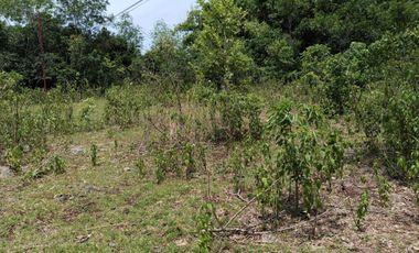 1,300sqm clean title lot in Lourdes Panglao Bohol at 3500 per sqm