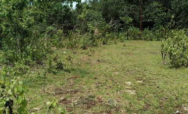 1,300sqm clean title lot in Lourdes Panglao Bohol at 3500 per sqm