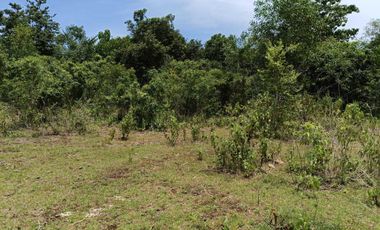 1,300sqm clean title lot in Lourdes Panglao Bohol at 3500 per sqm
