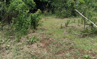 1,300sqm clean title lot in Lourdes Panglao Bohol at 3500 per sqm