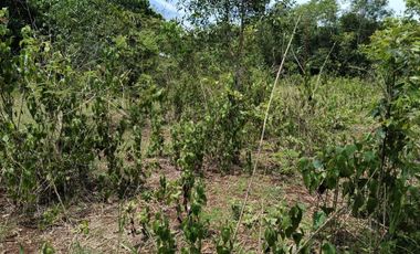 1,300sqm clean title lot in Lourdes Panglao Bohol at 3500 per sqm