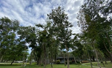 For Rent  House in  Mahogany Parc Clark  Freeport Zone Angeles City!