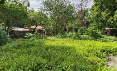 Residential lot Forsale in Brgy. Lapaz, San Marcelino, Zambales