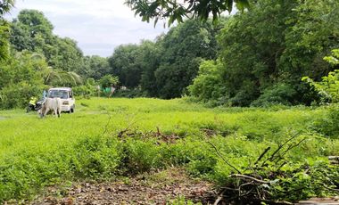 Residential lot Forsale in Brgy. Lapaz, San Marcelino, Zambales