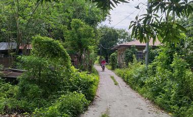 Residential lot Forsale in Brgy. Lapaz, San Marcelino, Zambales
