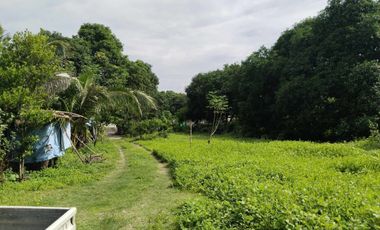 Residential lot Forsale in Brgy. Lapaz, San Marcelino, Zambales