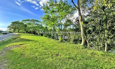 Ayala Westgrove Heights Silang Cavite 444 sqm Lot for Sale