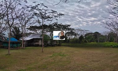 1.3 has vacant residential resort lot in Amadeo Cavite near Tagaytay & Silang