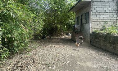 Lot for sale at Fajardo st. Aduas Centro, Cabanatuan City near 7/11 main road