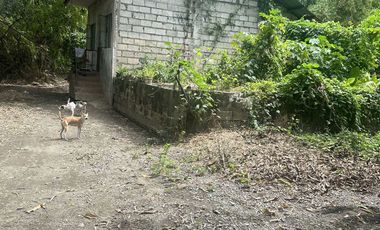 Lot for sale at Fajardo st. Aduas Centro, Cabanatuan City near 7/11 main road
